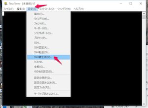 teraterm起動